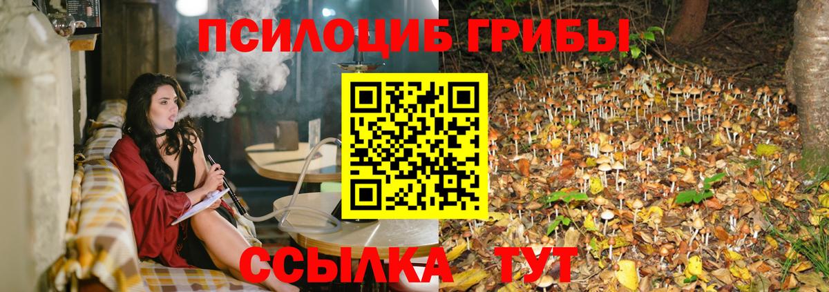 Галлюциногенные грибы Psilocybe  Вход с VPN  Миллерово 